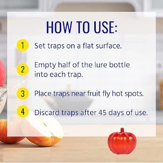 Pumpkin Shape Fruit Fly Traps  (Pack of 2)